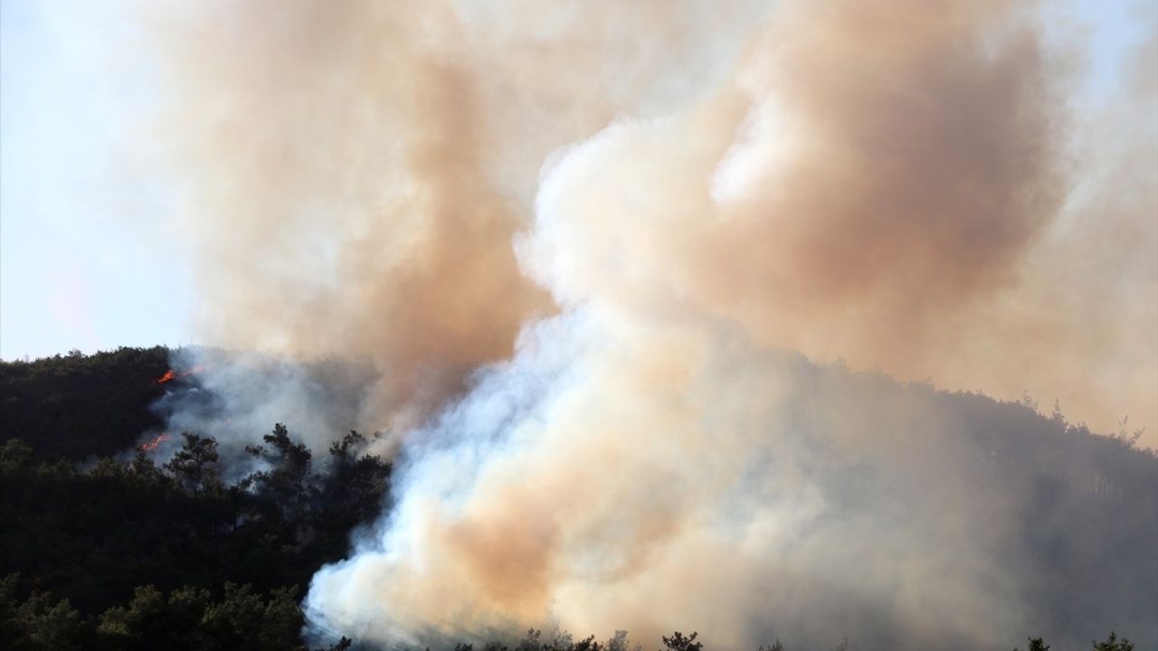 Suriye'nin Lazkiye Bölgesinde Orman Yangını Başladı