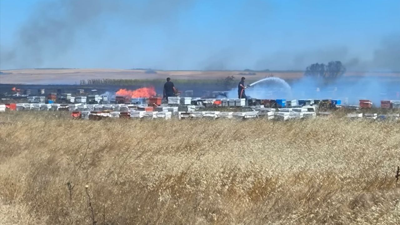 Tekirdağ'da Anız Yangını: 400 Arı Kovanı Zarar Gördü