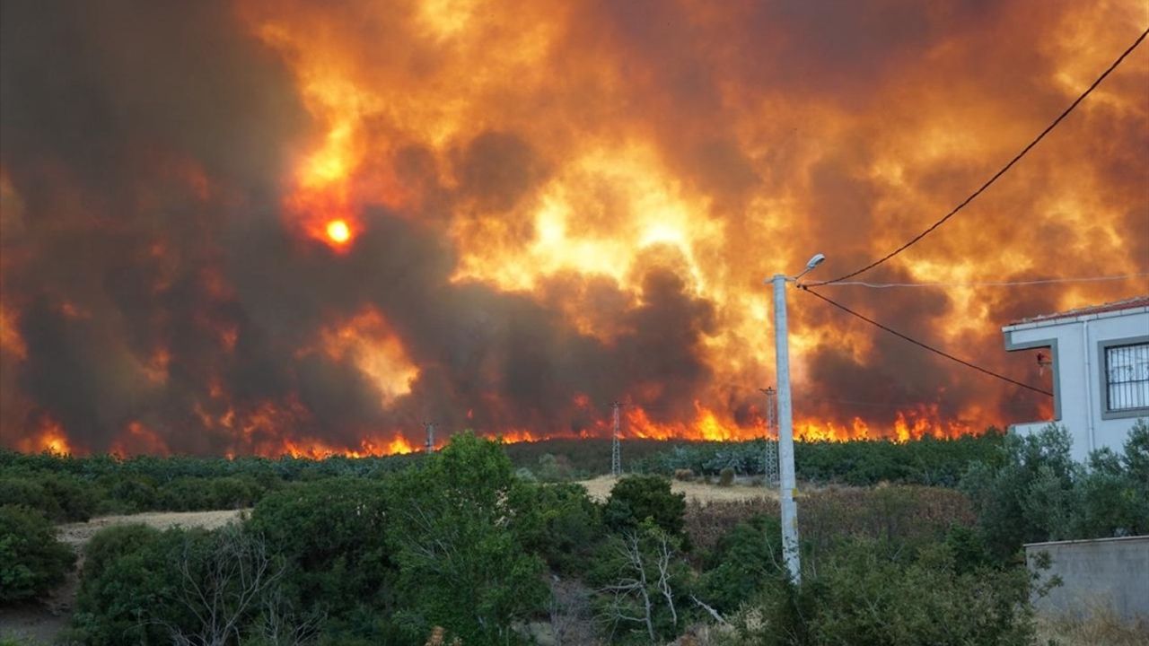 Tekirdağ'da Anız Yangını Ormana Sıçradı: Kızılcaterzi Mahallesi Boşaltıldı