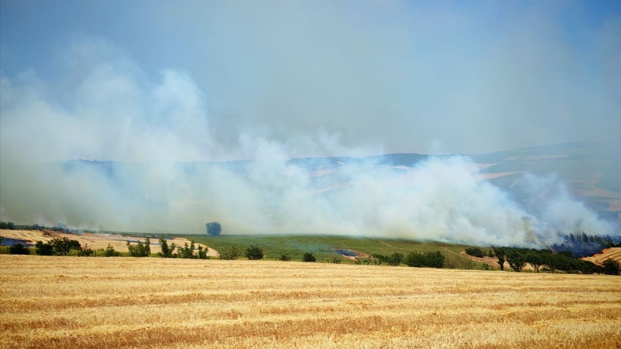 Tekirdağ'da Anız Yangını Ormana Sıçradı: Şenköy'de Evler Boşaltıldı