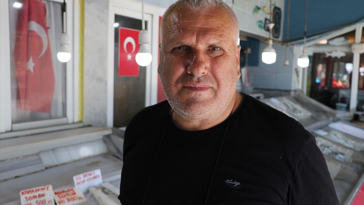 Tekirdağ'da İstavrit Tezgahları Doldurdu