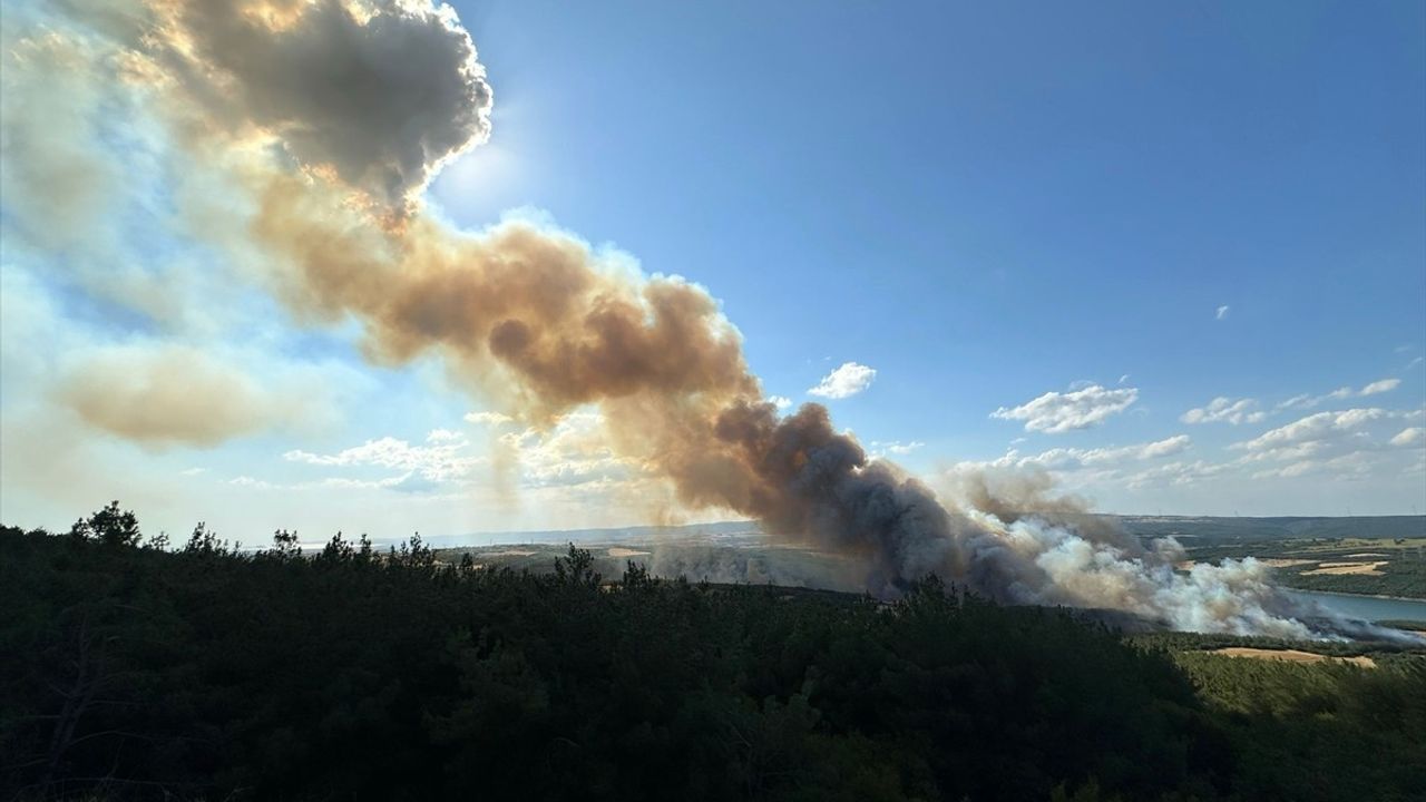 Tekirdağ'da Orman Yangını: Havadan ve Karadan Müdahale Devam Ediyor