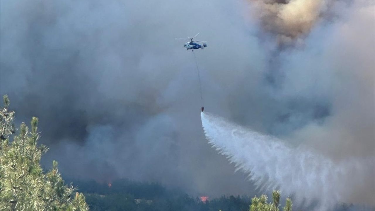 Tekirdağ'da Orman Yangınına Hızla Müdahale Ediliyor