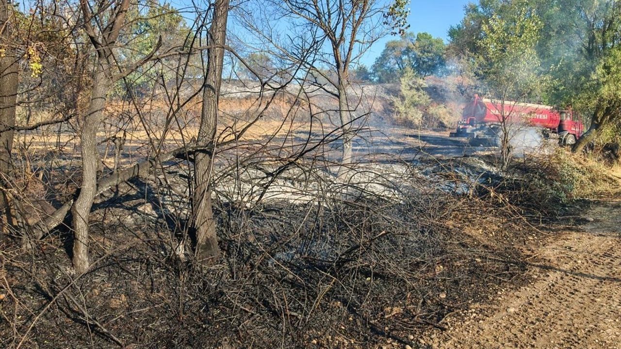 Tekirdağ'da Yangın: 60 Dekar Alan Zarar Gördü