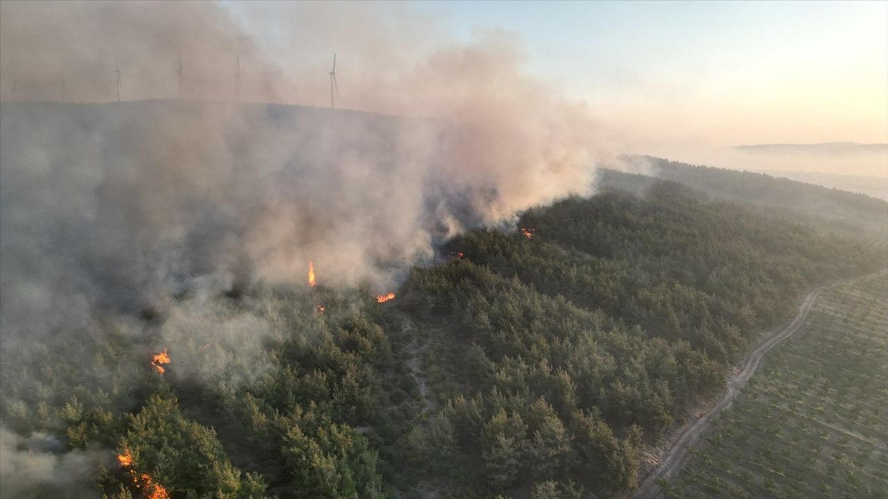 Tekirdağ'daki Orman Yangını Kontrol Altına Alınmaya Çalışılıyor