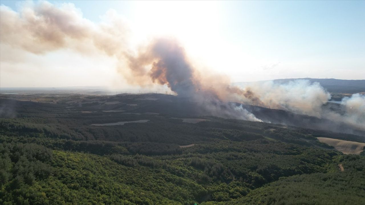 Tekirdağ'daki Orman Yangınına Hızla Müdahale Ediliyor