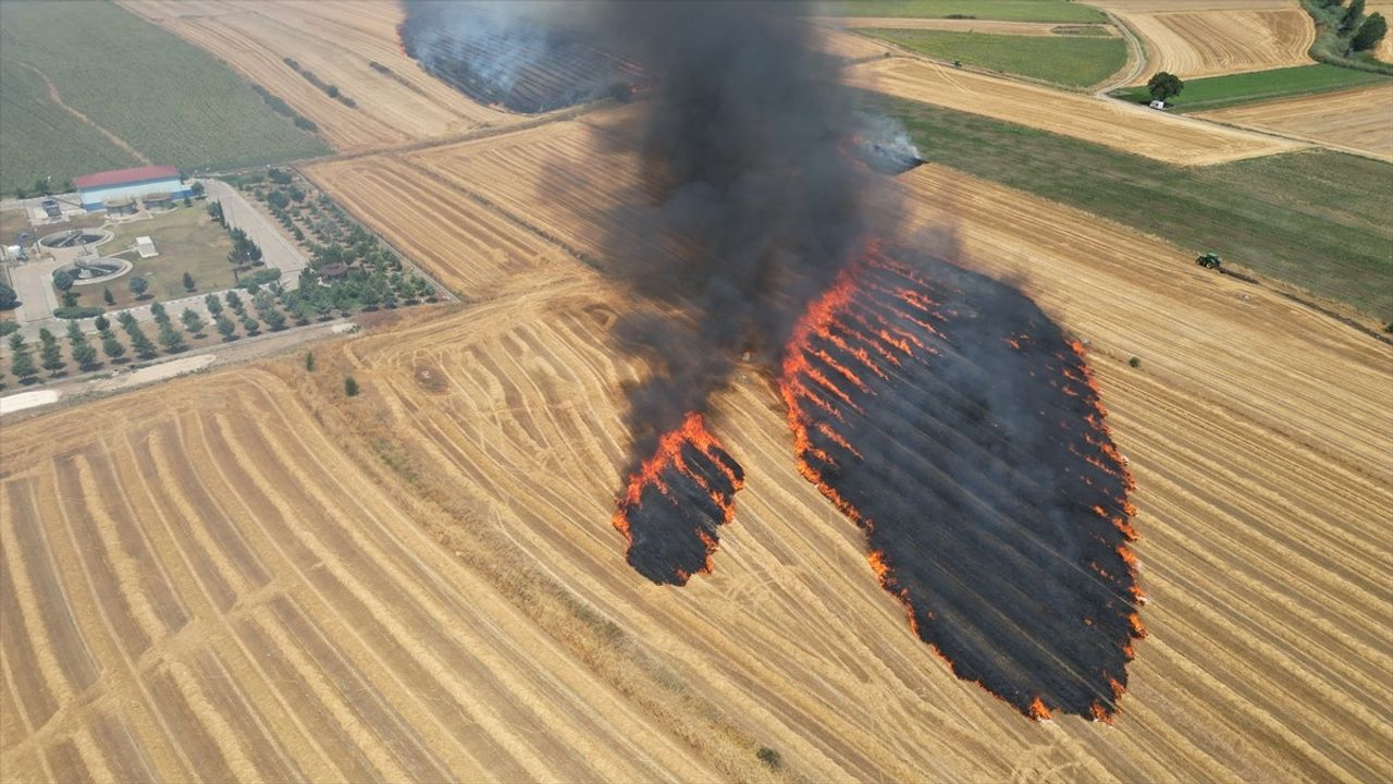 Tekirdağ'daki Yangın Kontrol Altına Alındı