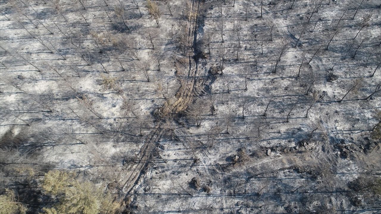 Tekirdağ'dan Çanakkale'ye Sıçrayan Yangında Zarar Gören Alanlar Dronla Görüntülendi