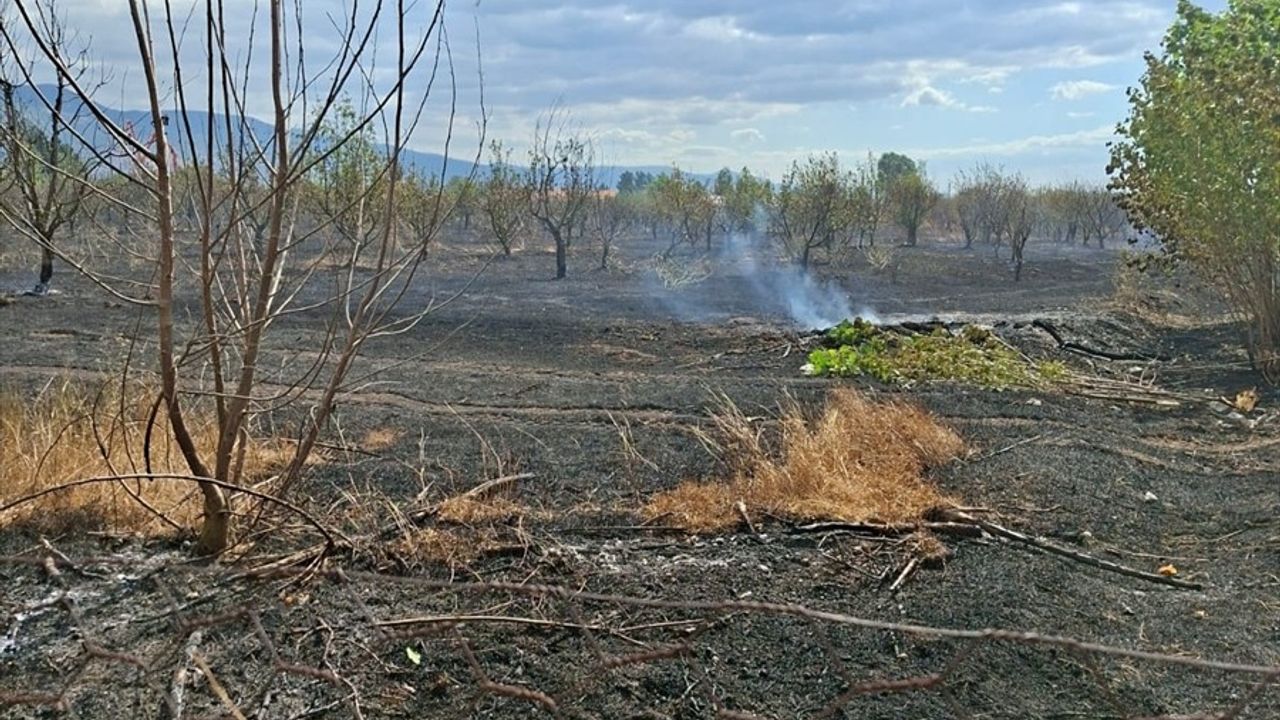 Tokat'ta Anız Yangını Kontrol Altına Alındı