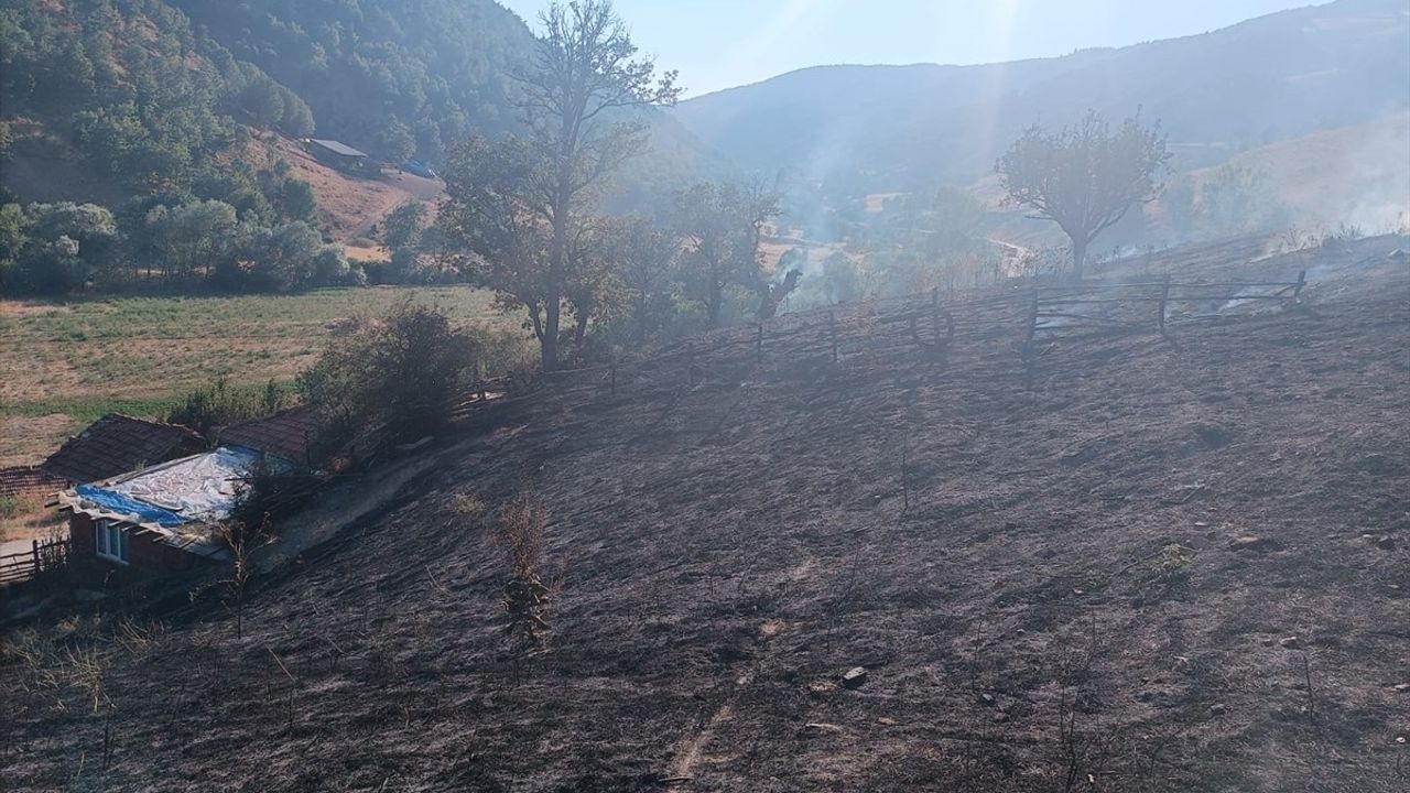 Tokat'ta Arazi Yangını: 10 Dönüm Zarar Gördü
