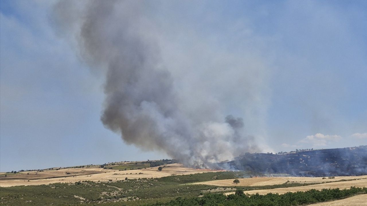 Tokat'ta Korkutan Yangın: 250 Dekar Buğday Alanı Yandı