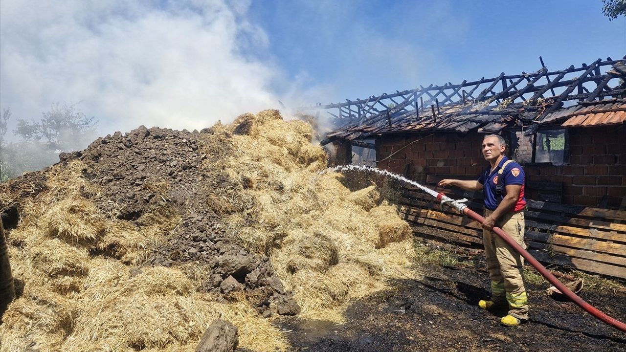 Tokat'ta Yangın Felaketi: 7 Büyükbaş Hayvan Hayatını Kaybetti