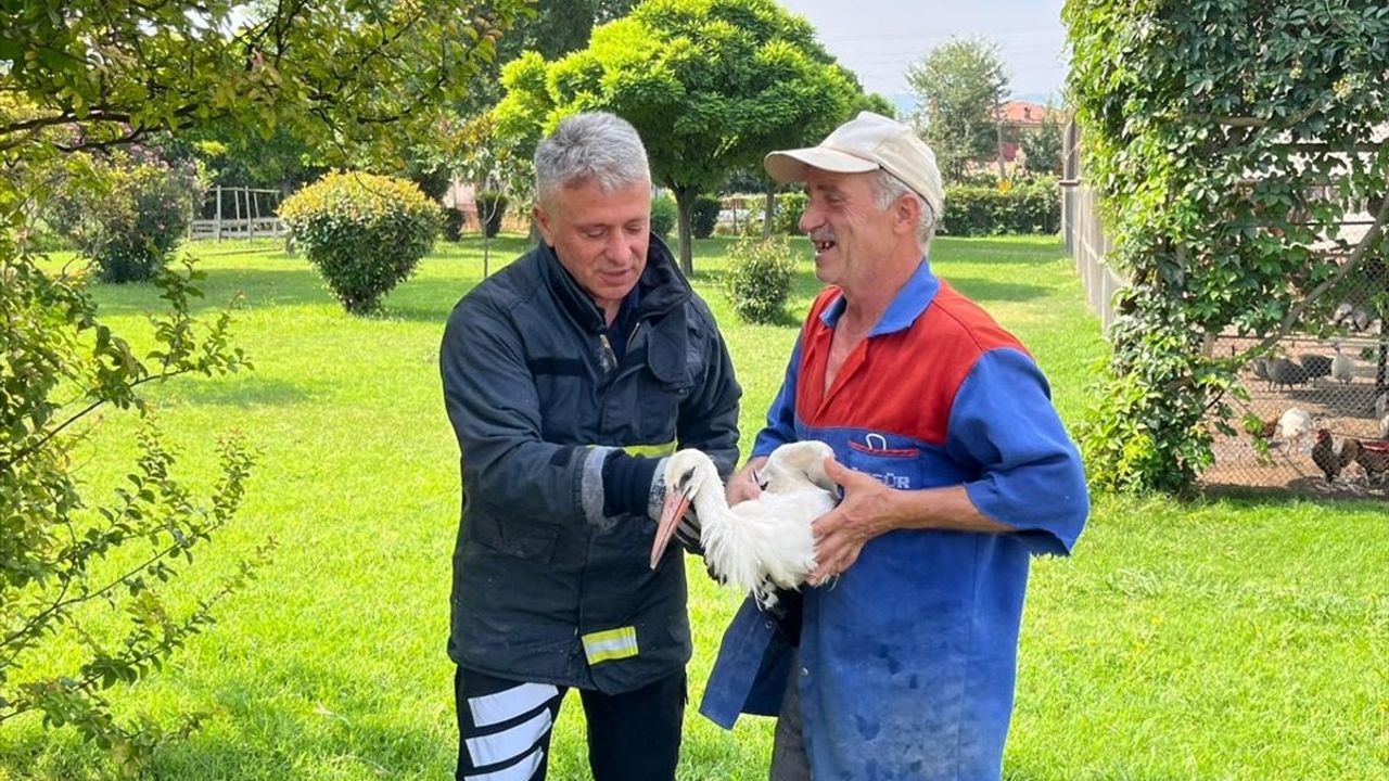 Tokat'ta Yaralı Leylek İtfaiye Ekiplerince Kurtarıldı