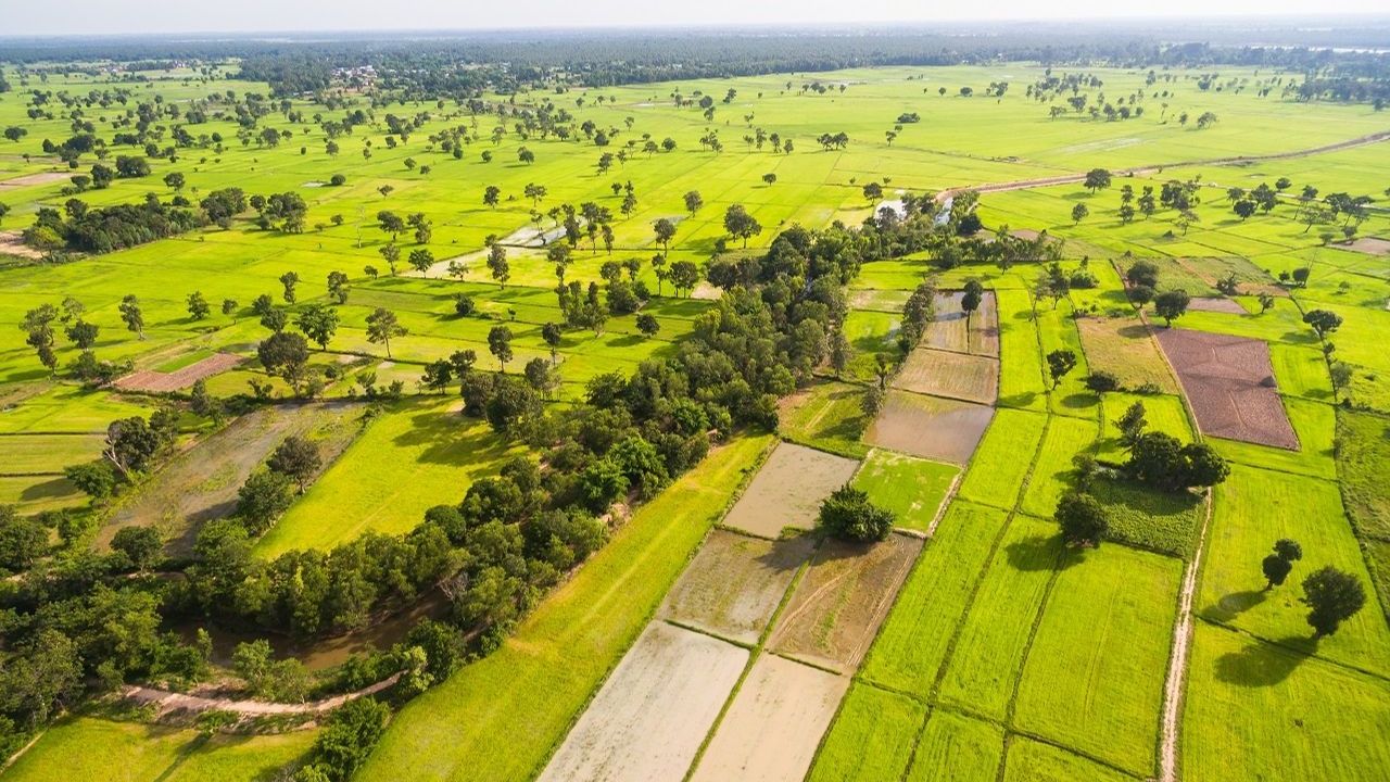 TOKİ 56 İl'de Müzayedeye Hazır: 5-6 Ağustos Tarihlerine Dikkat!