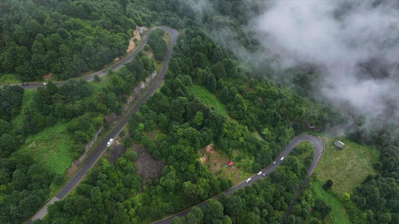 Trabzon'un Hıdırnebi Yaylası: Sis Altındaki Doğa Harikası