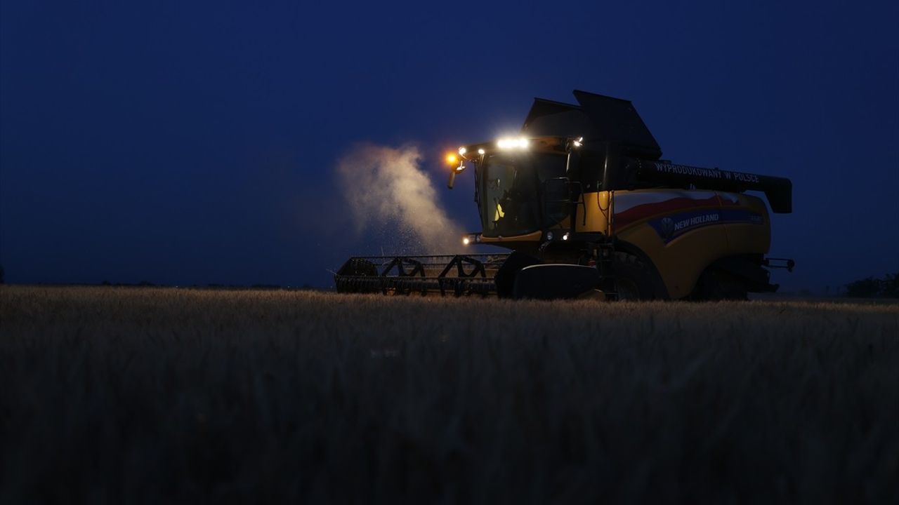 Trakya'da Aşırı Sıcaklar Nedeniyle Buğday Hasadı Gece Yapılıyor