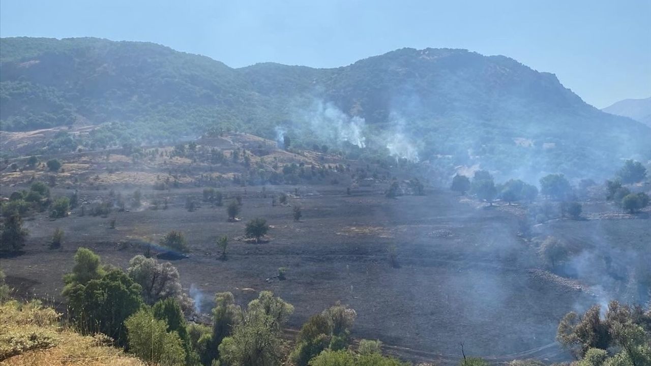 Tunceli'de Orman Yangını Kontrol Altına Alındı