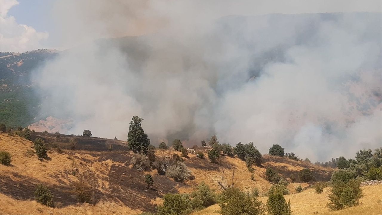 Tunceli'de Orman Yangınında Müdahale Devam Ediyor