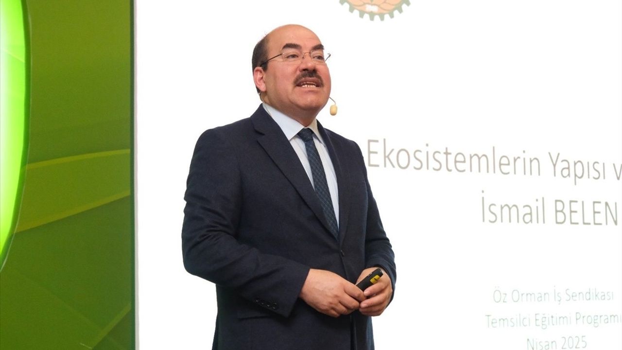 Türkiye'nin Orman Varlığı 3,2 Milyon Hektar Büyüyerek 23,4 Milyona Ulaştı