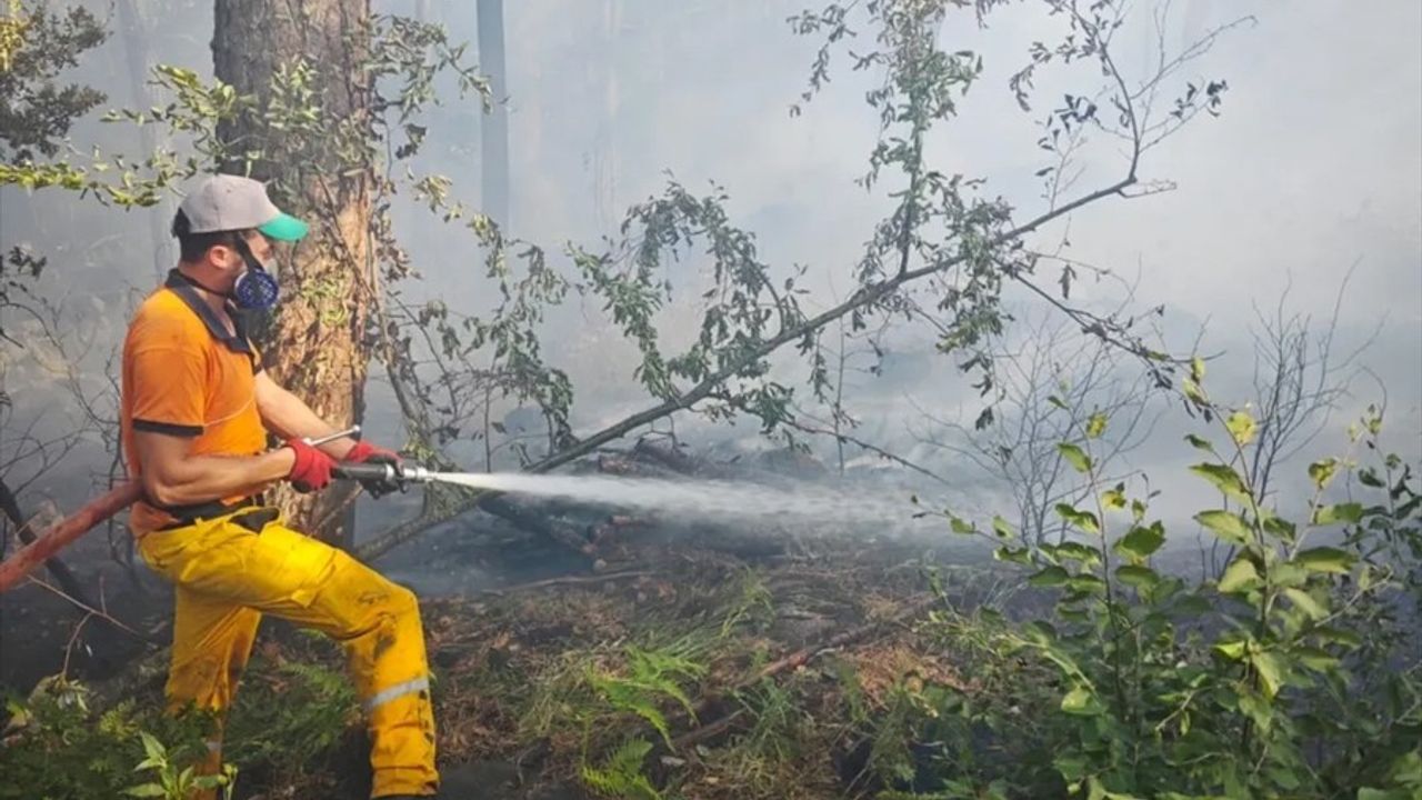 Uludağ'daki Orman Yangını Kontrol Altına Alındı