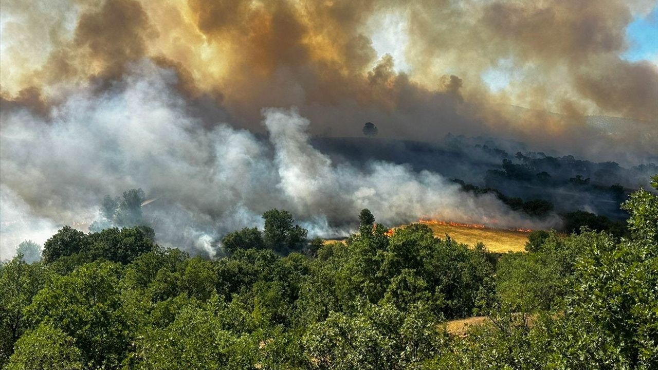 Uşak Eşme'de Tarım Arazisinde Yangın: Müdahale Başladı