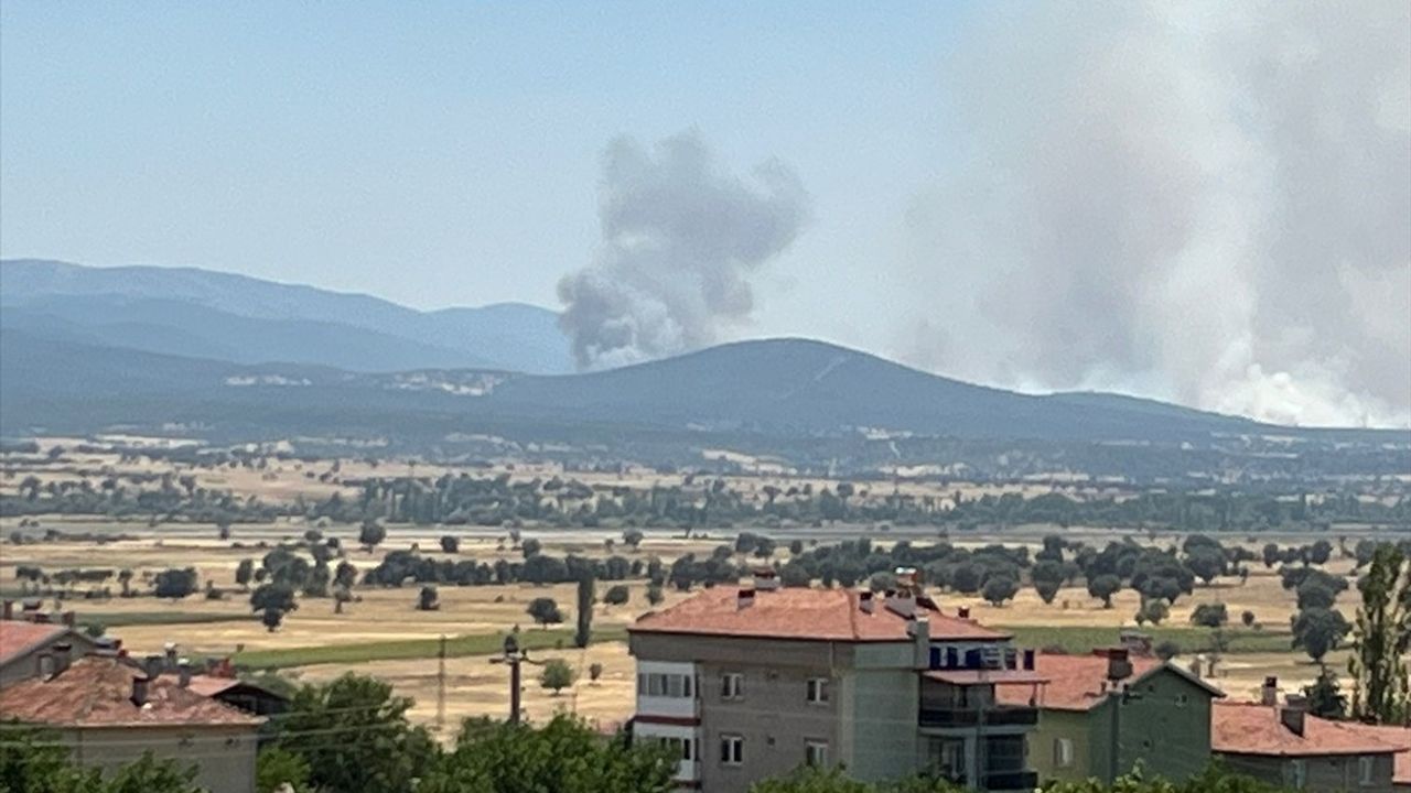 Uşak'ta Meşelik Alanda Yangın: Hava ve Karadan Müdahale Başladı