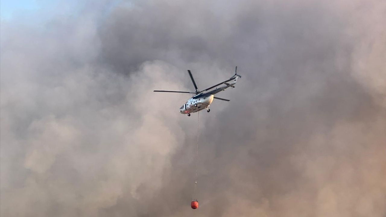 Uşak'ta Orman Yangınına Hızla Müdahale Ediliyor