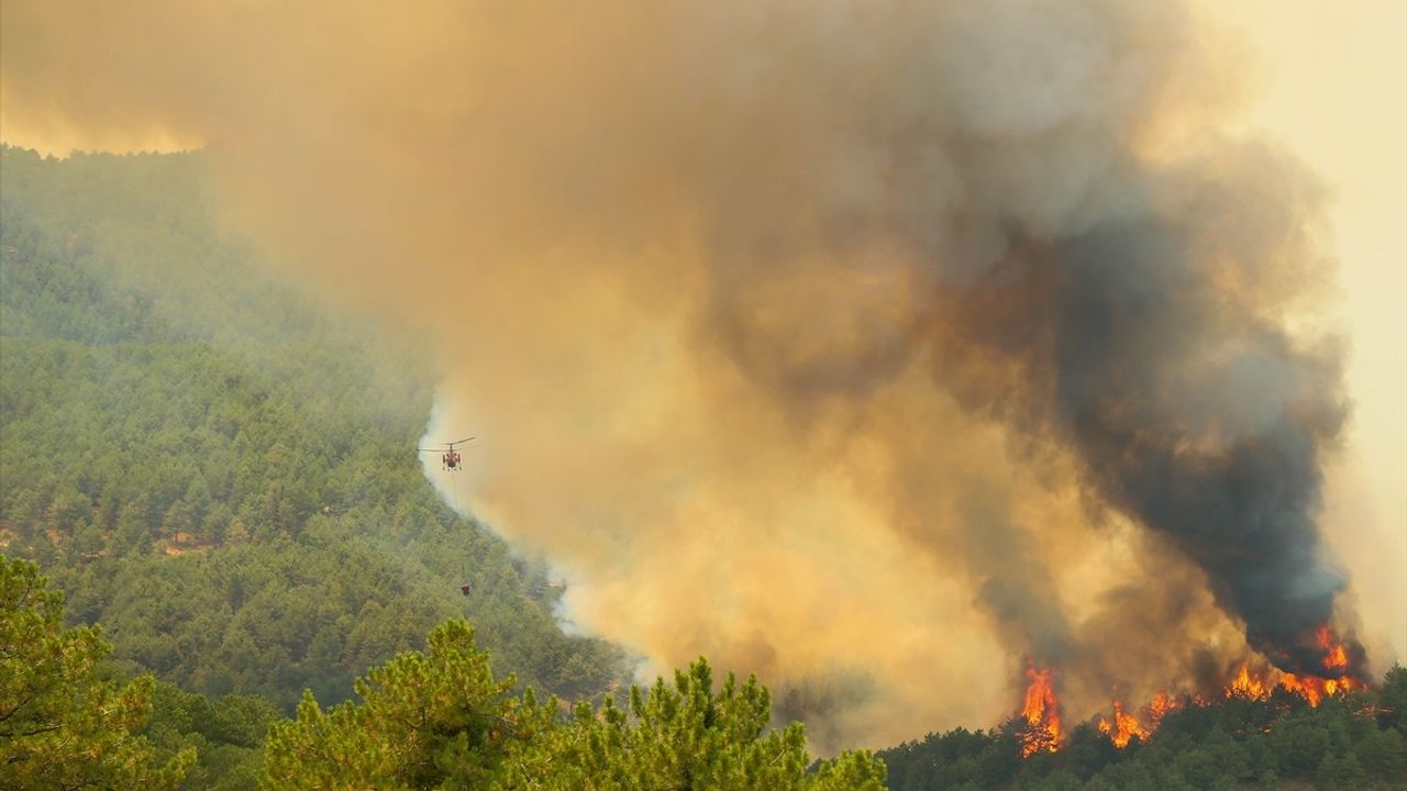 Uşak'ta Orman Yangınına Hızlı Müdahale
