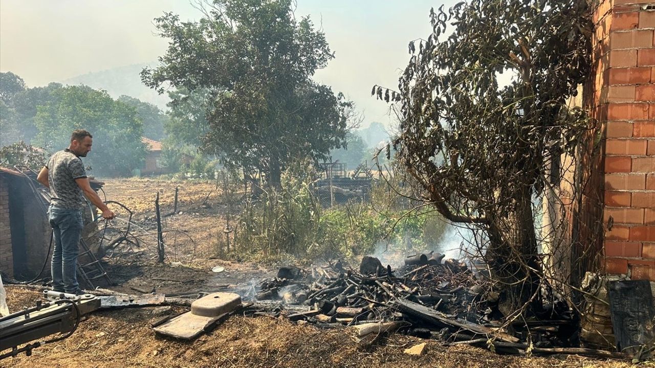 Uşak'ta Orman Yangınına Müdahale Devam Ediyor