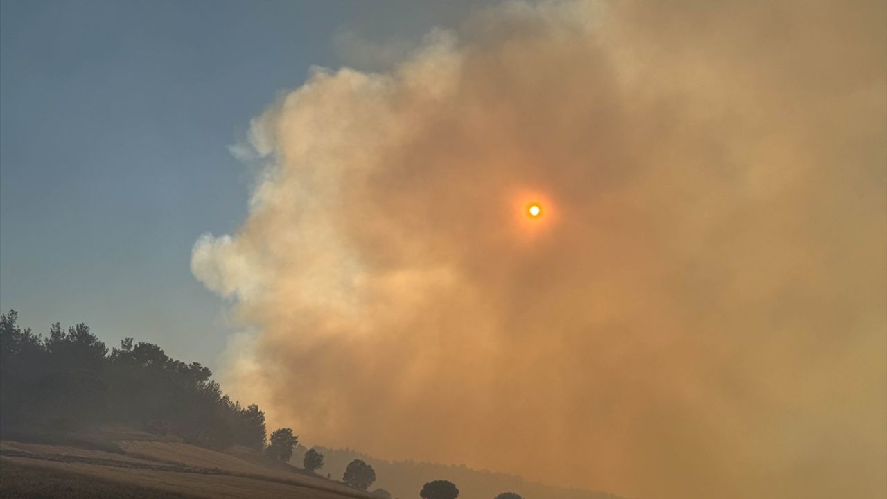 Uşak'ta Tarım Arazisinde Başlayan Yangına Müdahale Devam Ediyor