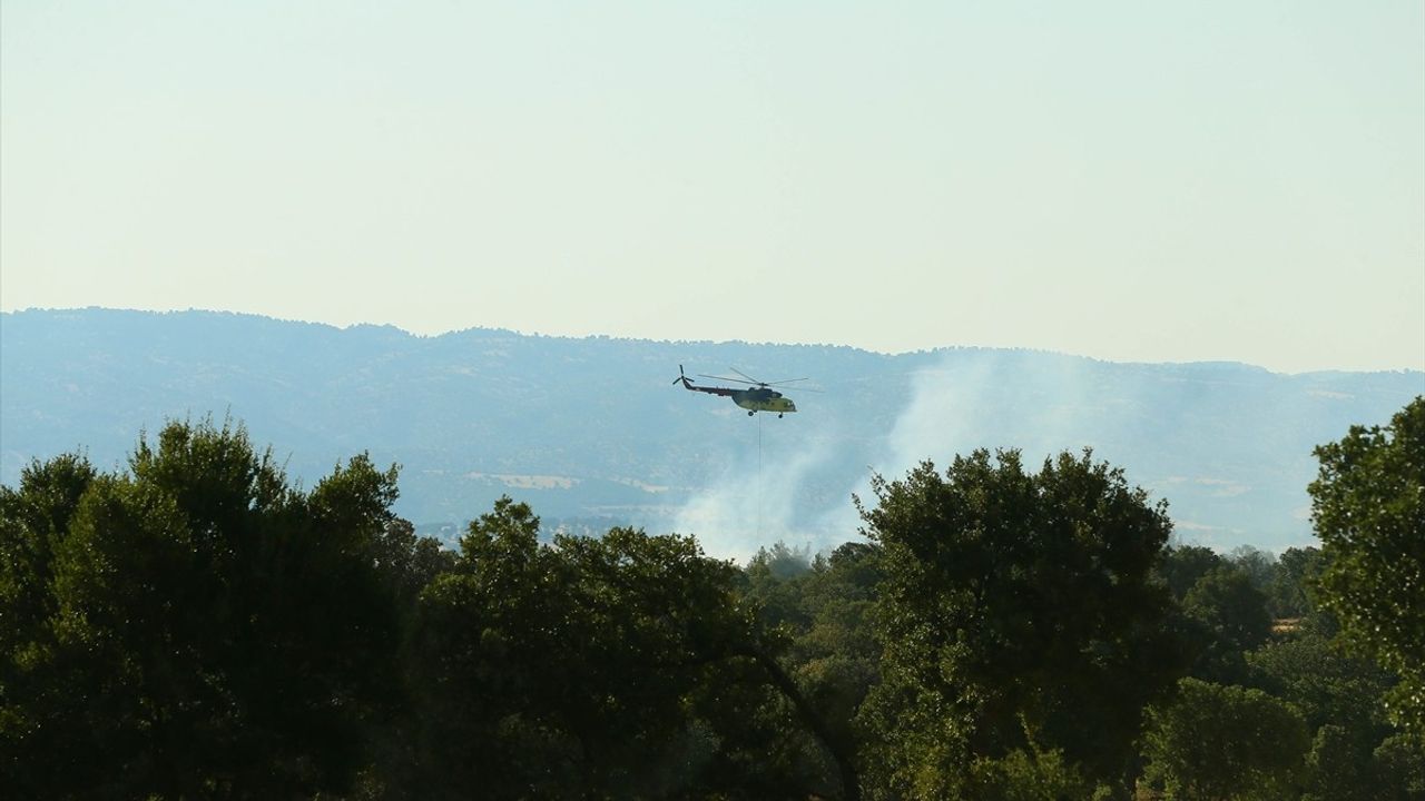 Uşak’ta Tarım Arazisindeki Yangın Ormana Sıçradı
