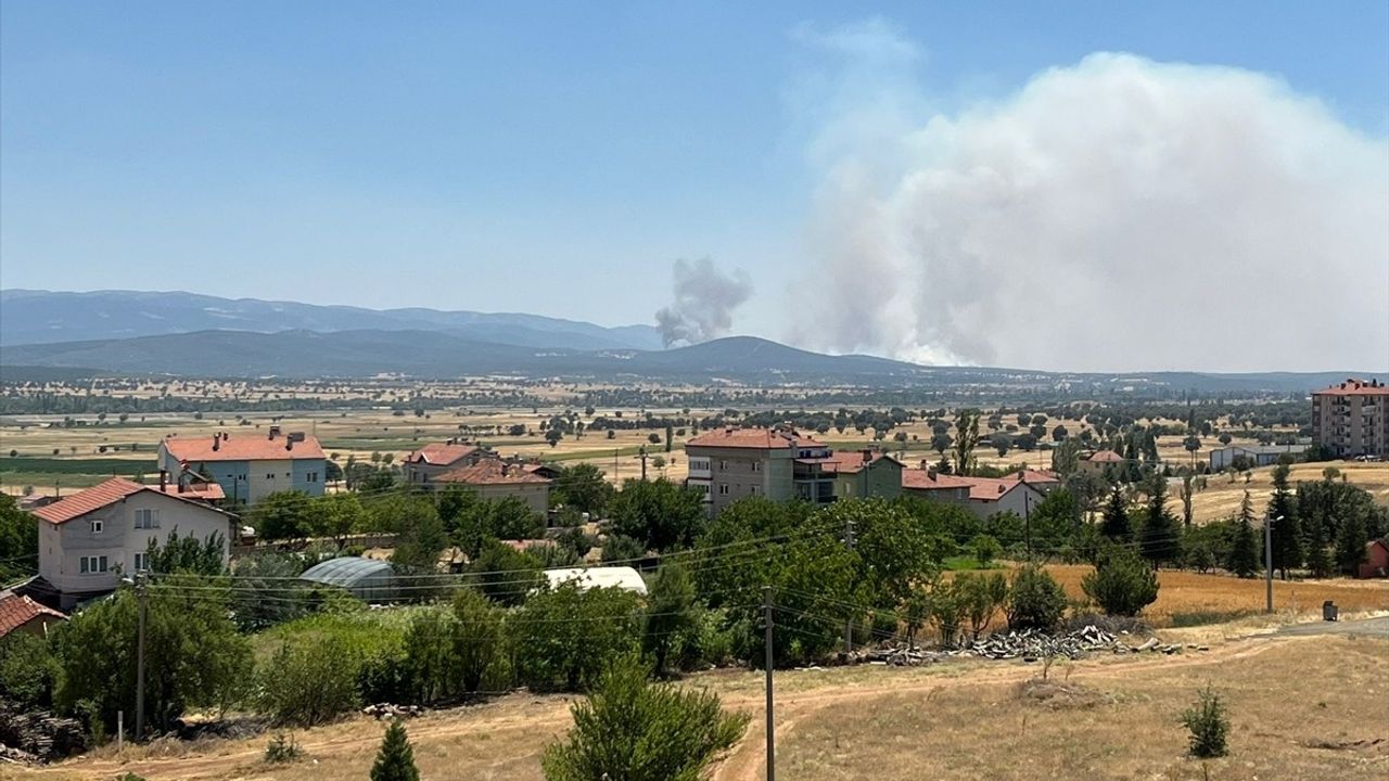 Uşak'taki Meşelik Alanda Yangınla Mücadele Devam Ediyor