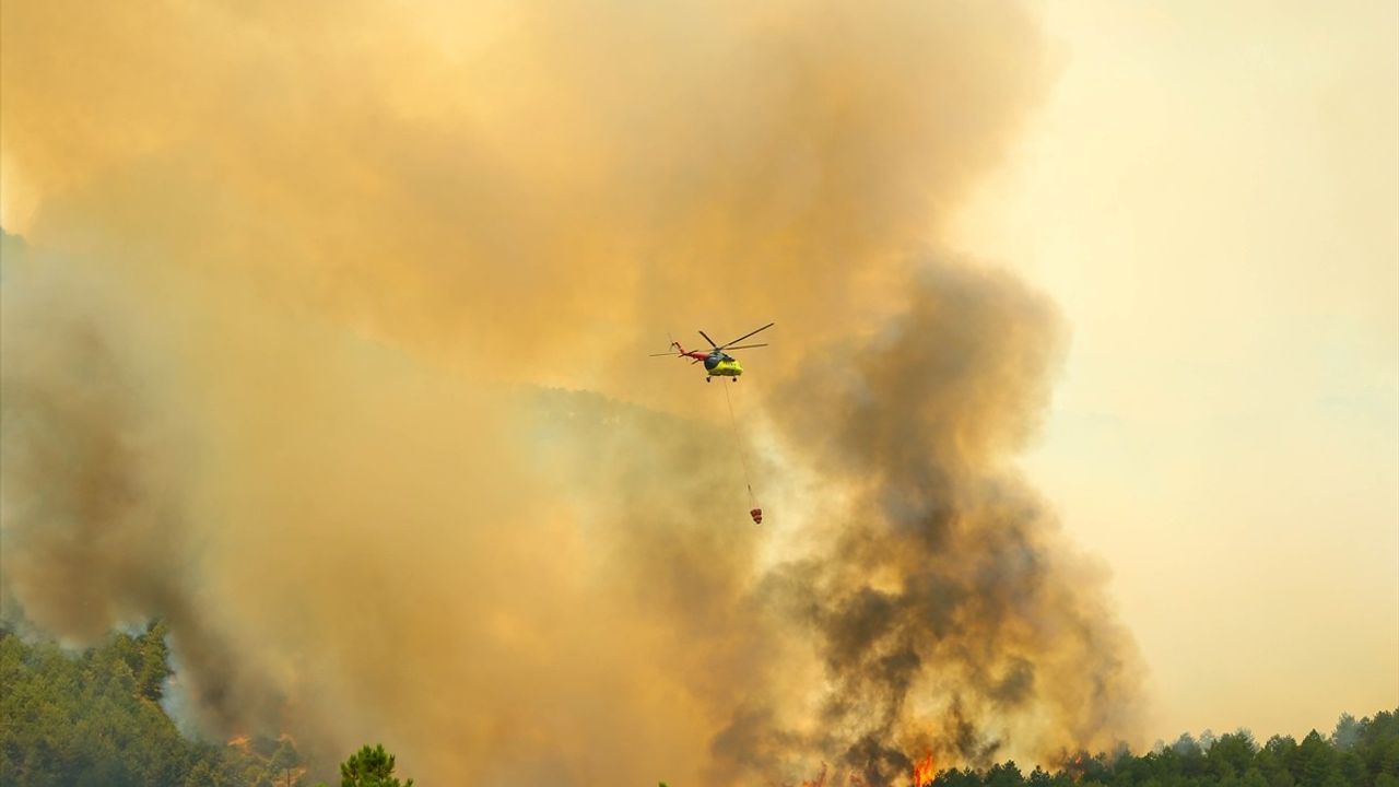Uşak'taki Orman Yangını Kontrol Altına Alındı