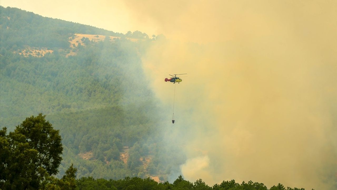 Uşak'taki Orman Yangını Kontrol Altına Alındı