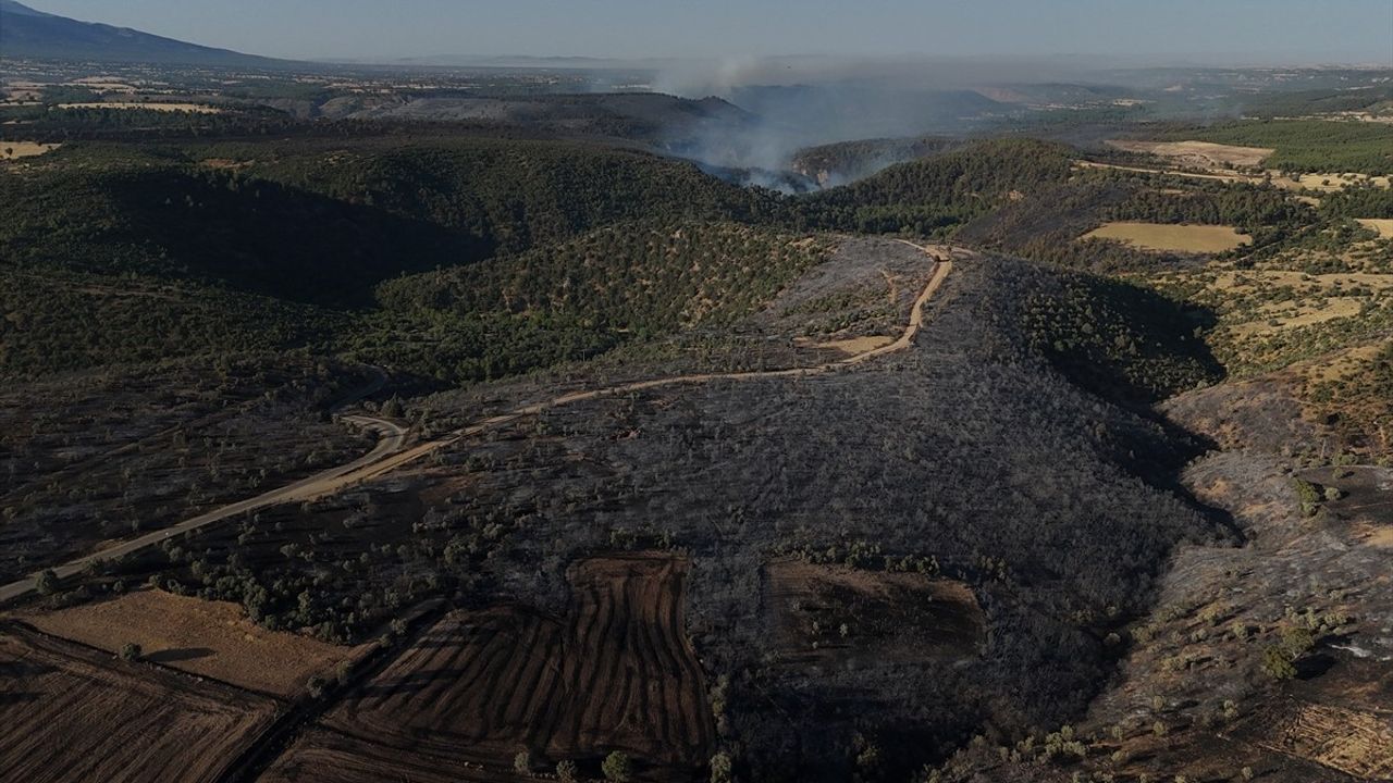 Uşak'taki Orman Yangını Kontrol Altına Alındı