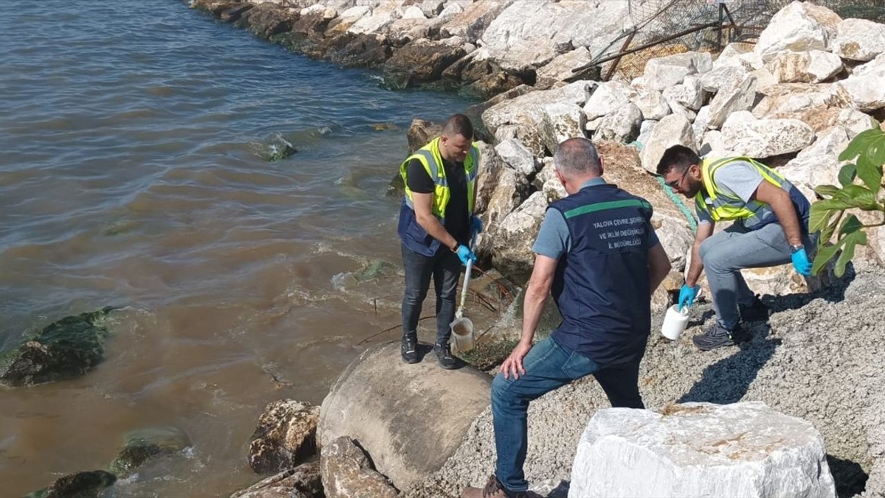 Yalova Belediyesi'ne 1,3 Milyon Lira Çevre Cezası