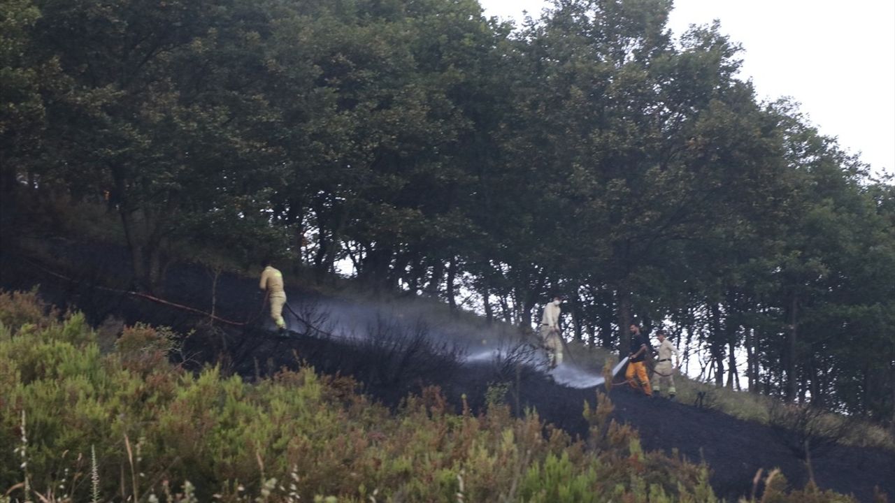 Yalova-Bursa Sınırındaki Orman Yangını Kontrol Altına Alındı