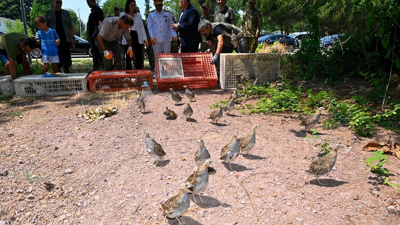 Yalova'da 300 Keklik Doğaya Salındı