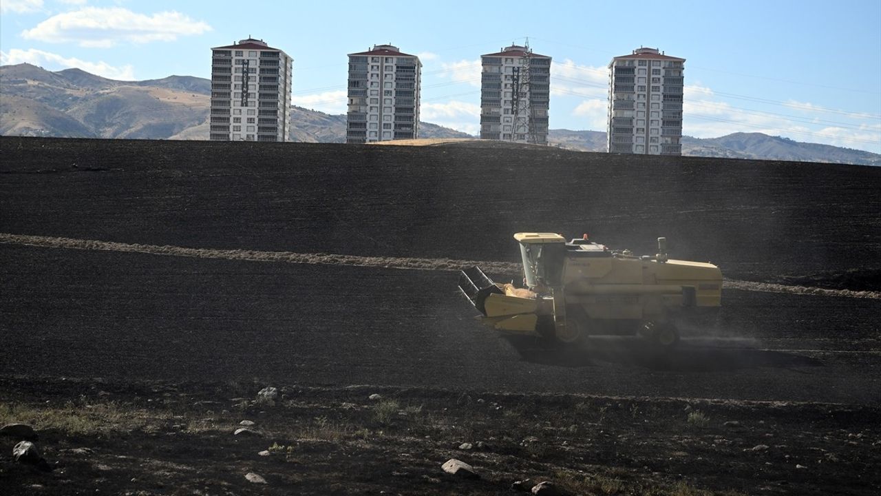 Yenimahalle'de Ekili Arazi Yangını Kontrol Altına Alındı