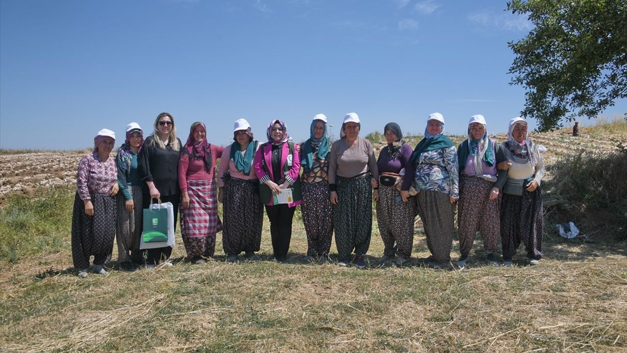 Yeşilay'dan Sarımsak Tarlasında Çalışan Kadınlara Destek Ziyareti