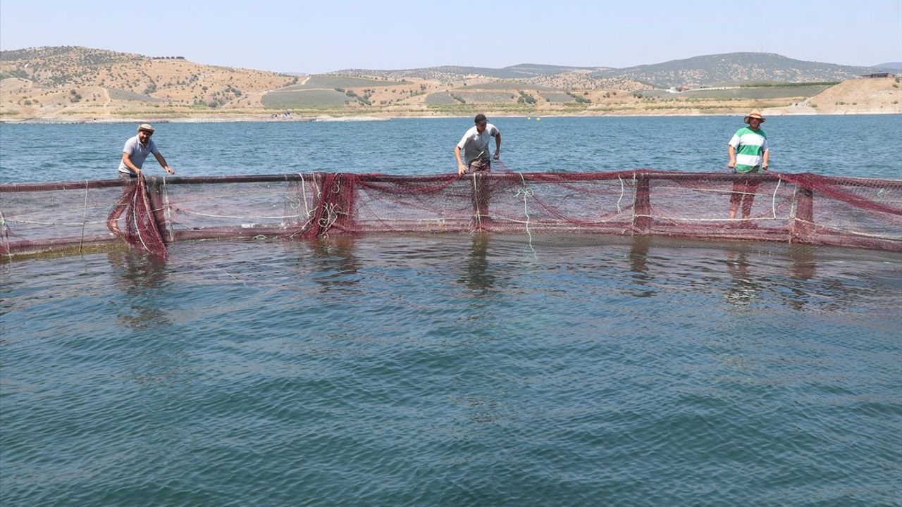 Yozgat'ta Türk Somonu ve Alabalık İhracatı Artıyor