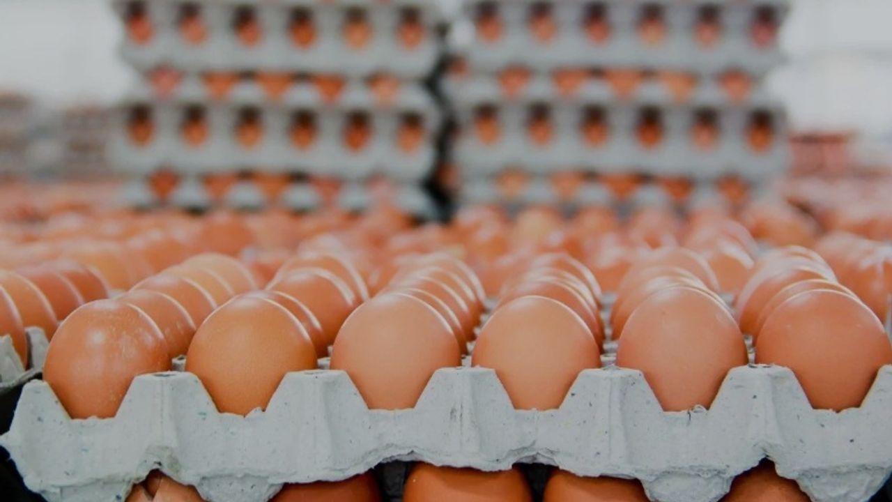 Yumurta Fiyatlarında Tarihi Değişiklik: İhracat Kesintileri Kaldırıldı!