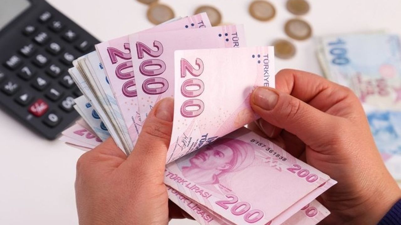 Ziraat Bankası'ndan Kadınlara ve Gençlere Destek: Devlet Desteği Öne Çıkıyor