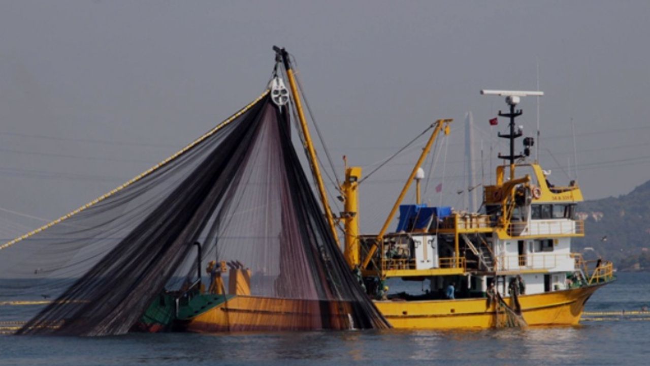 1 Eylül'de Av Yasağı Kalkıyor: Balıkçılar Umutla Hazırlanıyor