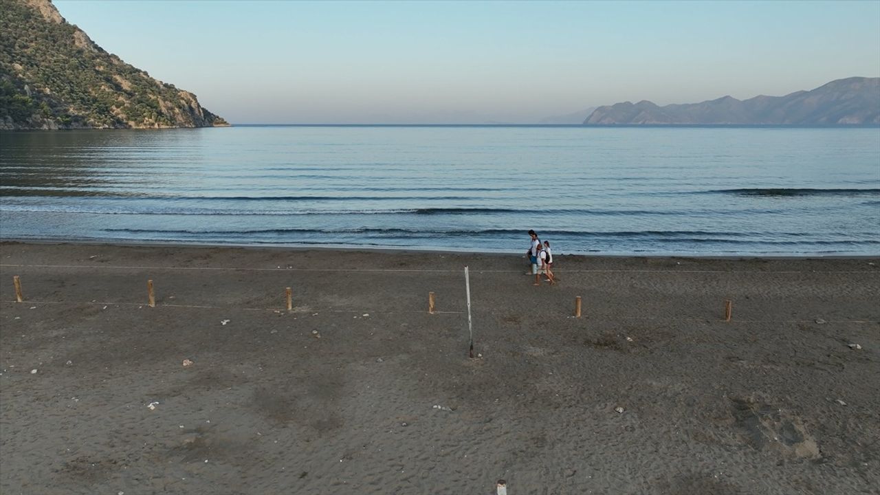 40 bin 285 yavru kaplumbağa ÖÇK kumsallarında denize kavuştu