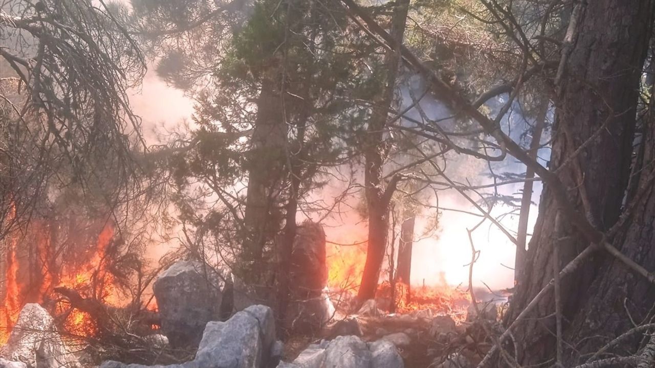 Adana Aladağ'da Gökçeköy'deki Orman Yangını Kontrol Altına Alındı