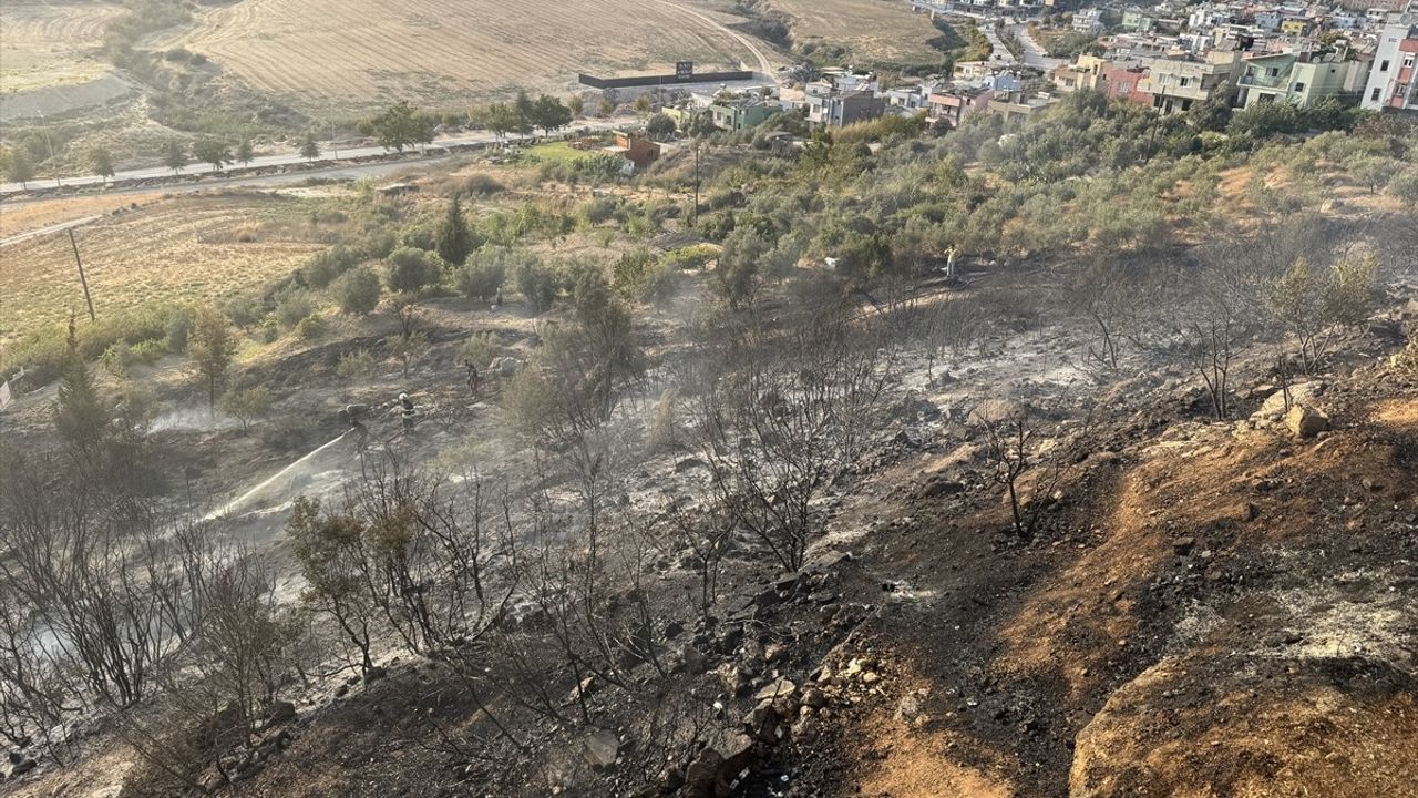 Adana Çukurova'da Yüzüncüyıl Mahallesi'nde Ağaçlık Yangın Söndürüldü