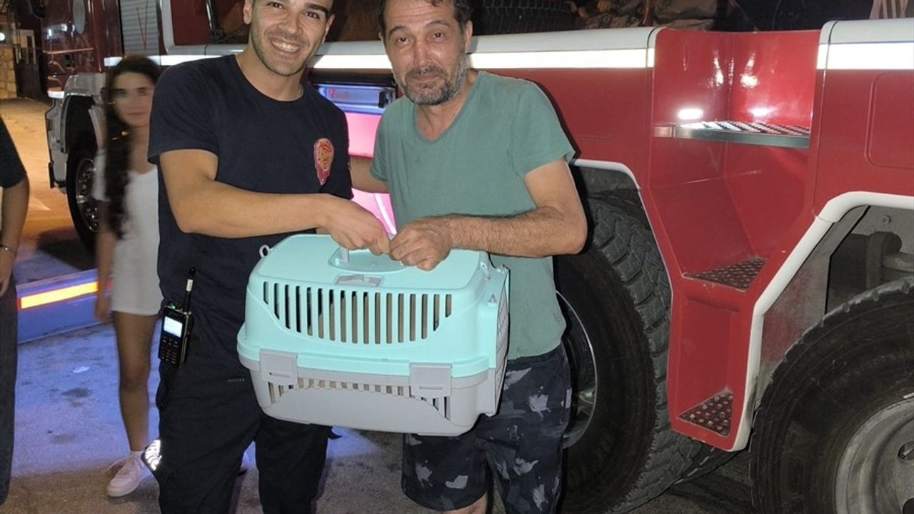 Adana'da Balkon Demirlerine Sıkışan Kedi İtfaiye Ekiplerince Kurtarıldı