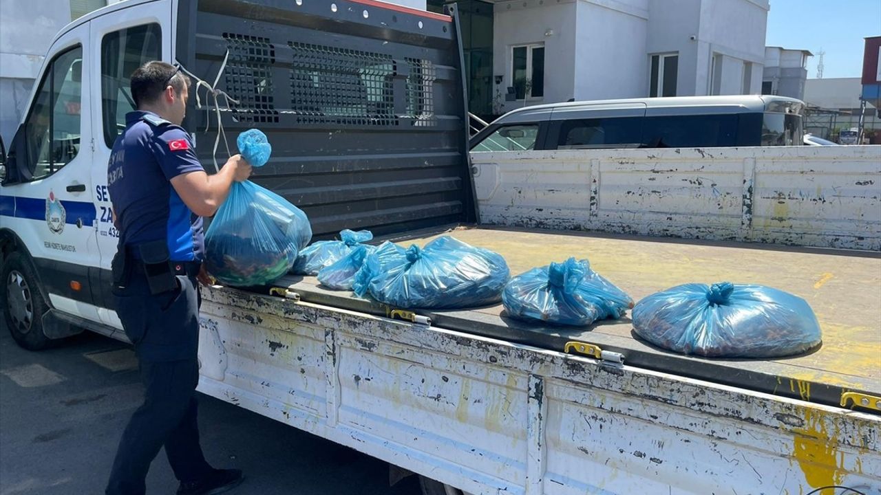 Adana'da Kuru Yemişçide Böceklenme: Sağlıksız Ürünler İmha Edildi