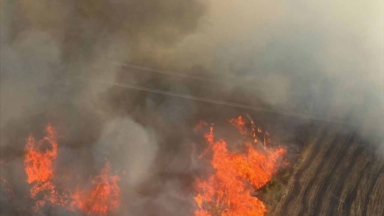 Adana İmamoğlu'da Orman Yangını Kontrol Altına Alındı